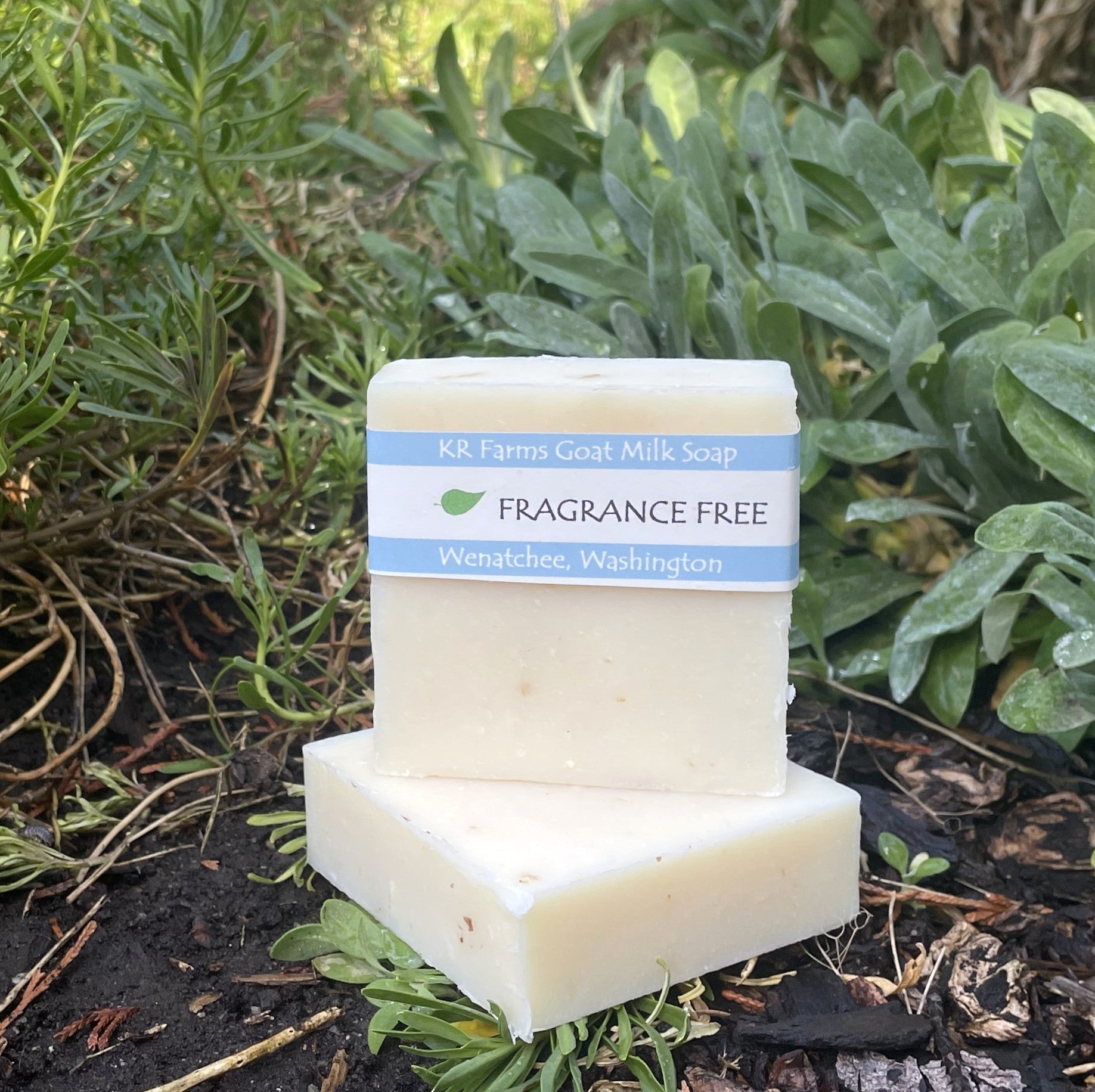 GOAT MILK - Fragrance Free