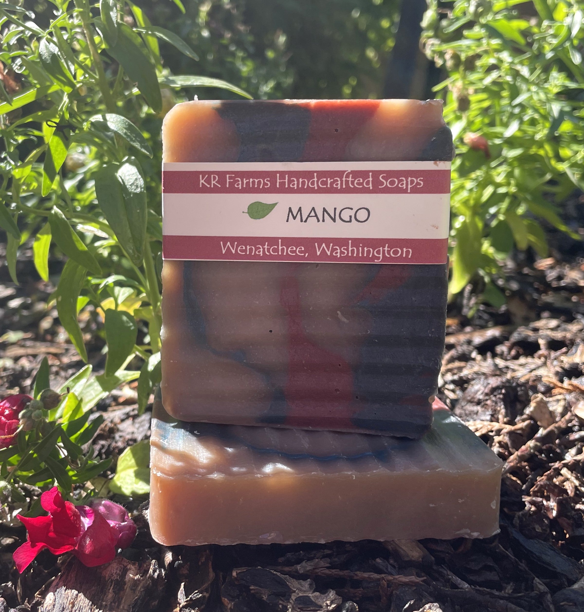 Mango